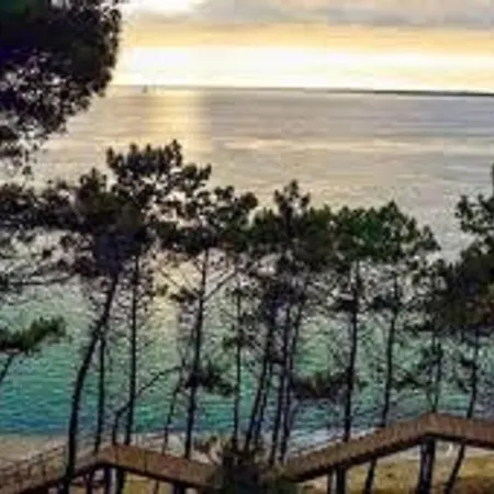 Arcachon, 3 Pièces, 6 Personnes - Fr-1-374-90 Appartement
